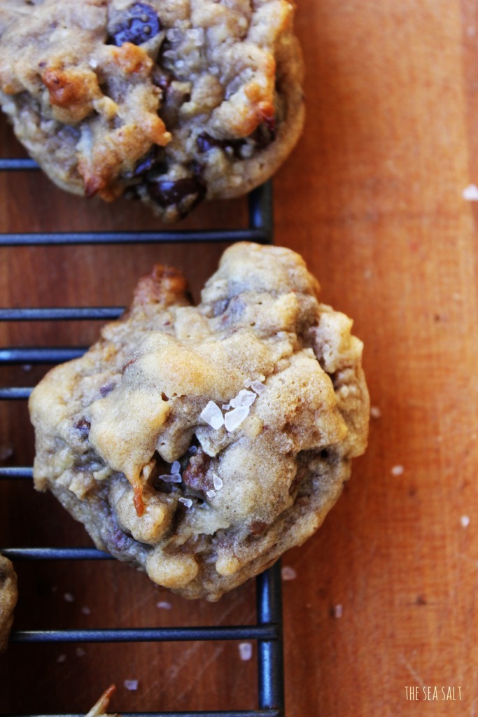 Salted Double Chocolate Chip Cookies with Coconut & Potato Chips